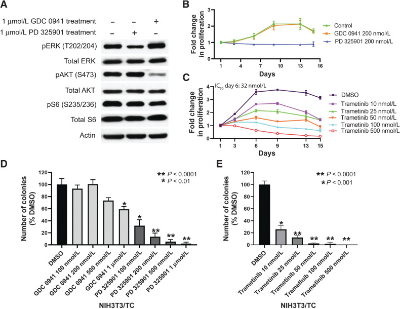 Figure 5. Effects of pharmacologic inhibitors of MAPK or PI3K pathway on anchorage-independent growth of NIH3T3/TC. A, NIH3T3/TC cells were cultured in the presence of either PD 0325901 or GDC 0941 for 2 days after being grown in suspension for 7 days, lysed, and the cell lysates were analyzed by immunoblotting with the indicated antibodies. GDC 0941 is a PI3K inhibitor, and PD 0325901 is a MEK inhibitor. B, The change in cell number over time of NIH3T3/TC cells grown in suspension in the presence of GDC 0941 or PD 0325901. PD 0325901 effectively inhibited the anchorage-independent proliferation of NIH3T3/TC cells (P < 0.05). C, Estimating the cell number of NIH3T3/TC cells grown in suspension. Administration of trametinib significantly decreased cell proliferation in suspension in a dose-dependent manner compared withto DMSO only (P < 0.0001). D, Soft agar colony numbers of NIH3T3/TC cells in the presence of GDC 0941 or PD 0325901 as compared with vehicle DMSO. E, Quantification of soft agar colonies with NIH3T3/TC cells in the presence of vehicle (DMSO) or trametinib. Error bars represent one SD; experiments were performed at least twice.