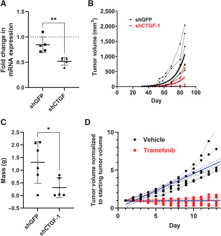 Figure 6. CTGF and MAPK signaling sustain tumor growth in vivo. NIH3T3/TC cells were infected with a control GFP shRNA or a shRNA targeting CTGF and assayed for A, Ctgf mRNA expression by qPCR; data are shown as mean ± SD, samples were normalized to control cells lacking any shRNA (dotted line; n = 5 samples run in triplicate from five independent experiments, **P < 0.01). B, Control or CTGF knockdown cells were injected subcutaneously in NSG mice, and tumor volume was measured twice per week for 85 days. C, Tumors from (B) were isolated and weighed; data are shown as mean ± SD (n = 6 shGFP mice and n = 5 shCTGF-1 mice, *P < 0.05 by unpaired t test). D, NIH3T3 cells stably expressing TAZ-CAMTA1 were injected subcutaneously and allowed to form tumors. Once tumors reach a volume of between 150 to 250 mm3 mice received daily oral treatment with either vehicle or 1 mg/kg trametinib for 14 days. Plots show individual mouse tumor volume normalized to tumor volume at the start of treatment (solid Iines with dots). Solid blue lines represent linear regression with 95% CI (dashed blue lines) shown (n = 6 mice per group); the difference in the slopes of the linear regression was tested by ANOVA; **** P < 0.0001.