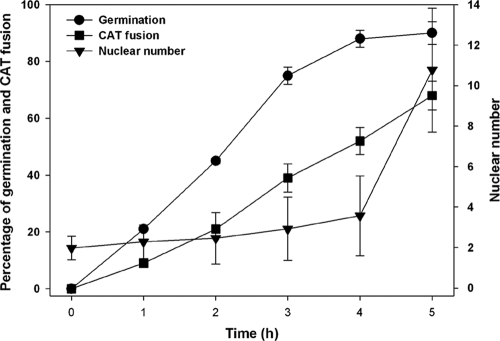 Fig. 3.