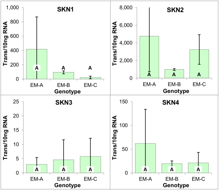 Fig 6