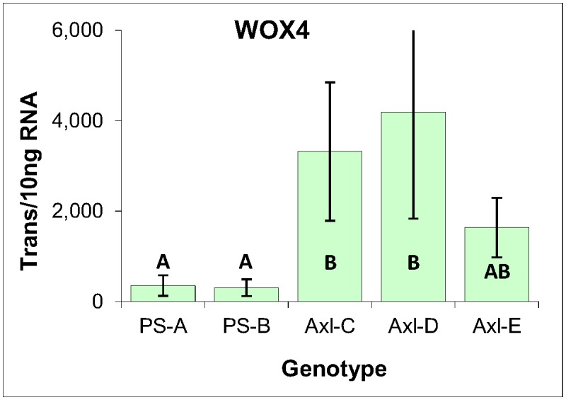 Fig 12