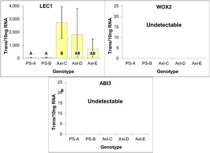 Fig 10