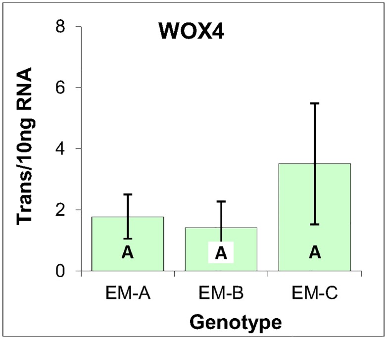 Fig 7