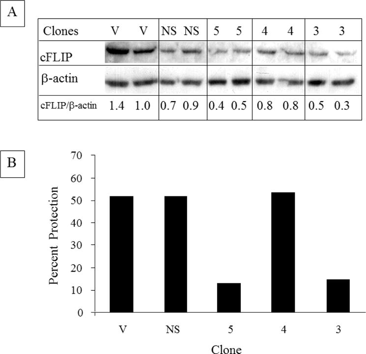 Fig 9