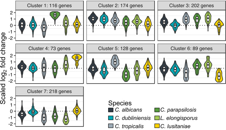 FIG 3