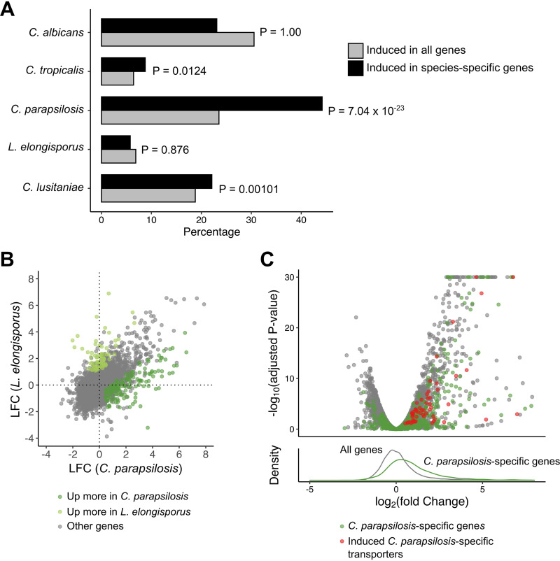 FIG 6