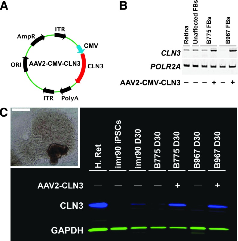 Figure 2.