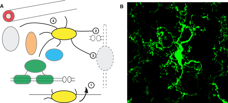 Figure 4.