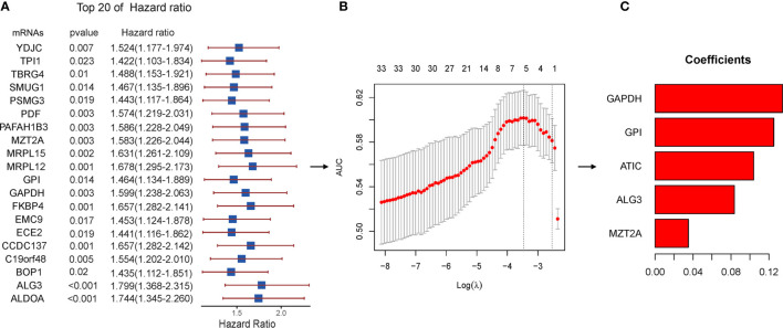 Figure 6