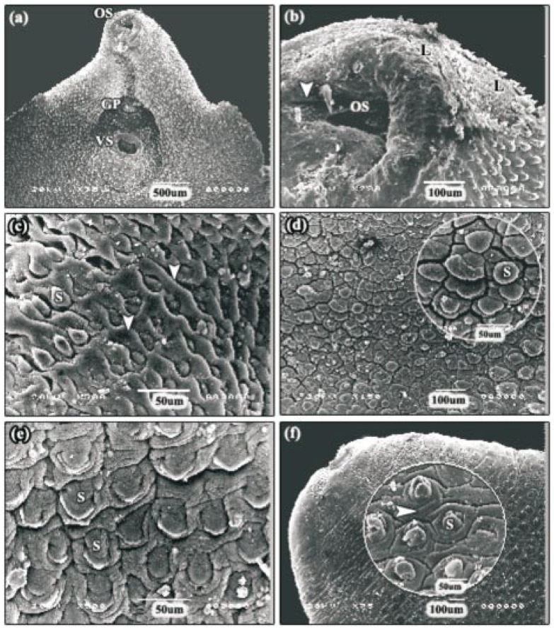 Figure 3.