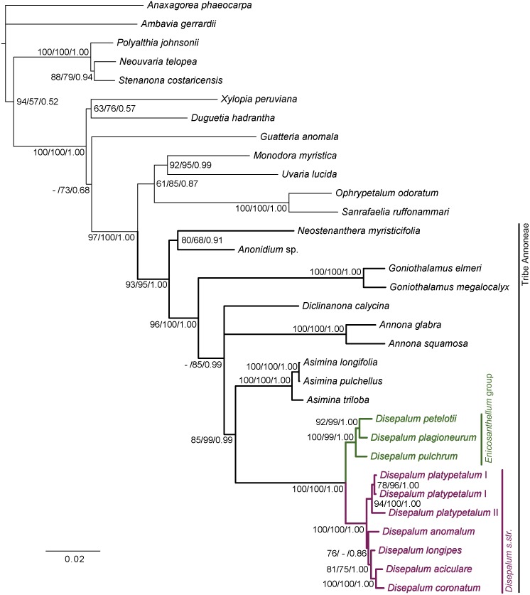 Fig 2