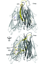 Figure 1—figure supplement 1.