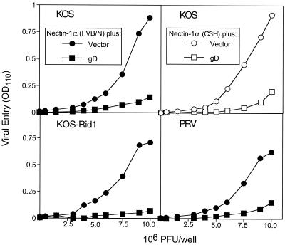 FIG. 7