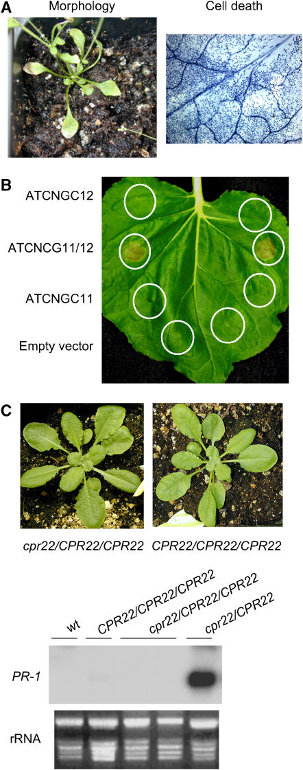 Figure 3.