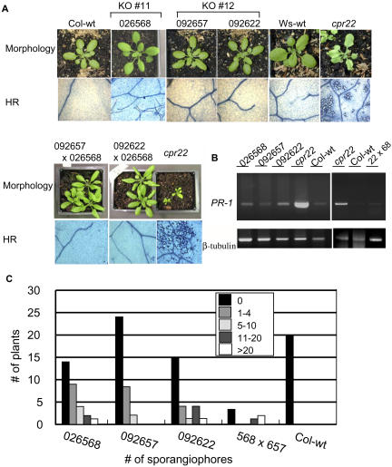 Figure 2.