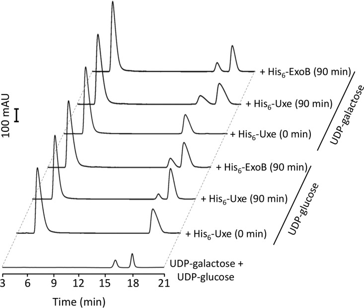 FIG 4