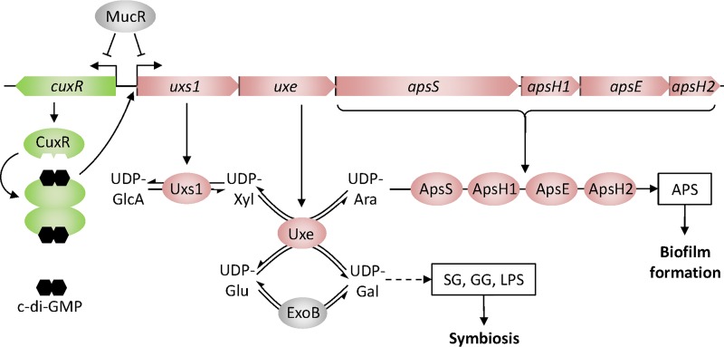 FIG 6