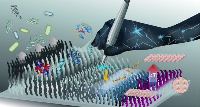 graphic file with name ab5c00908_0009.jpg