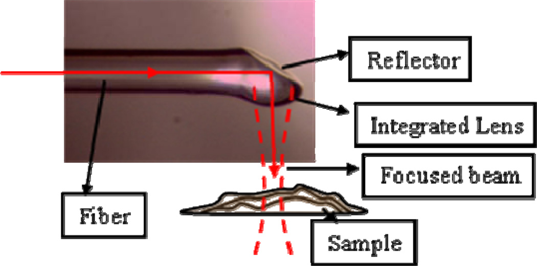 Fig. 5