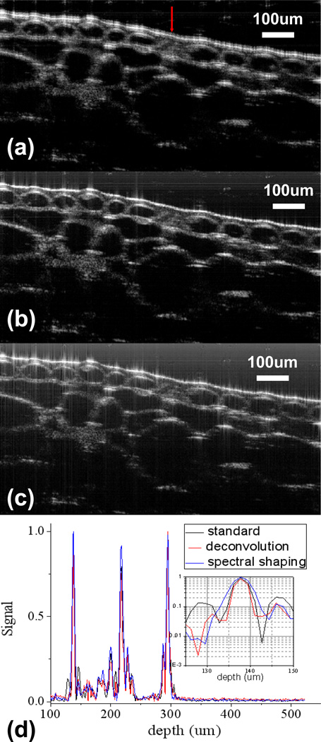 Fig. 10