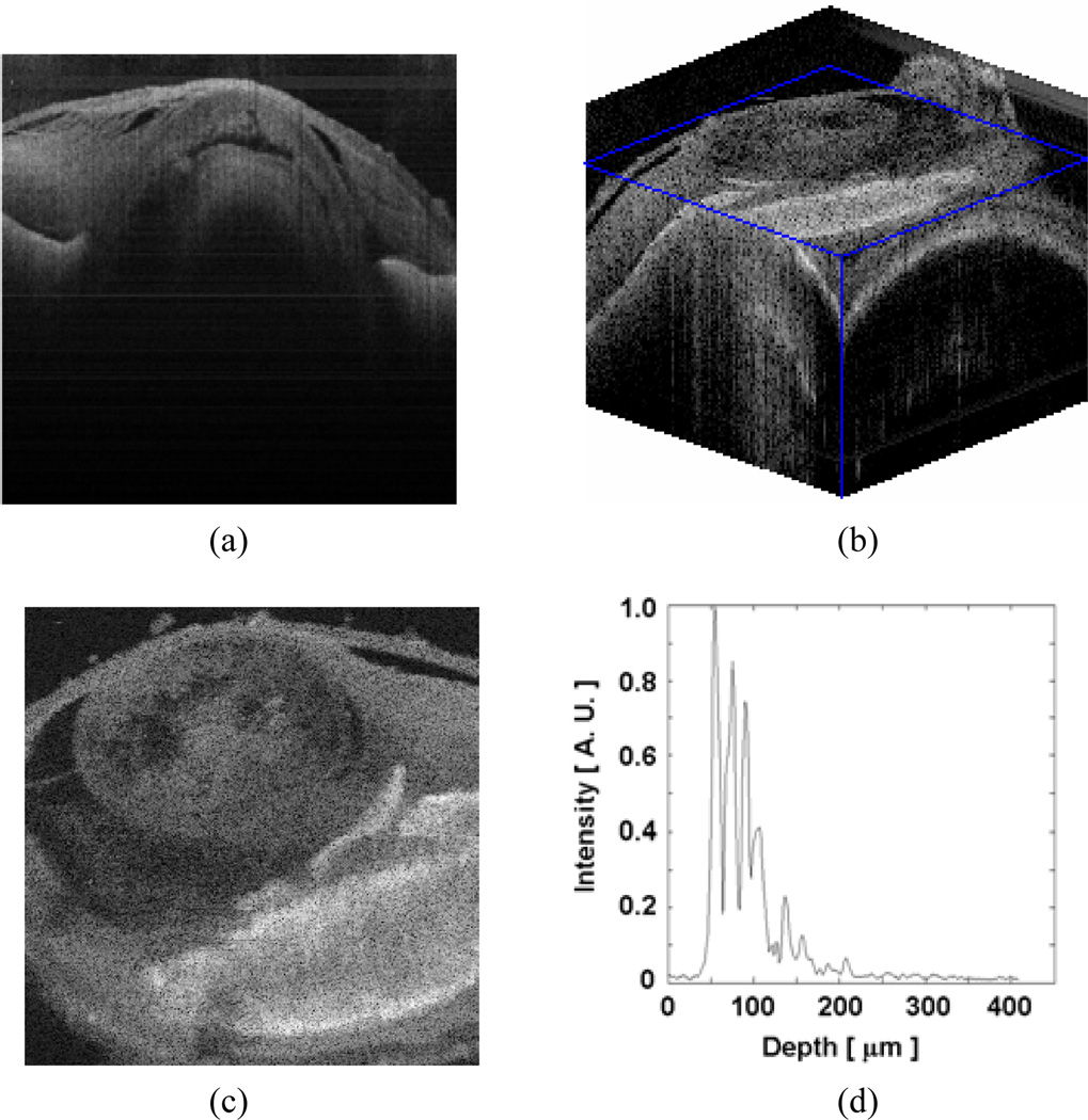 Fig. 6