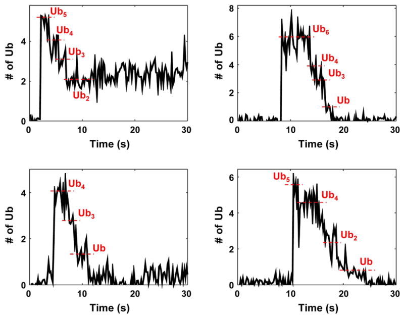 Extended Data Figure 9