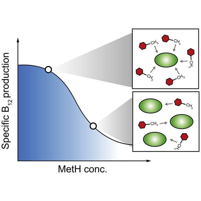 graphic file with name fx1.jpg