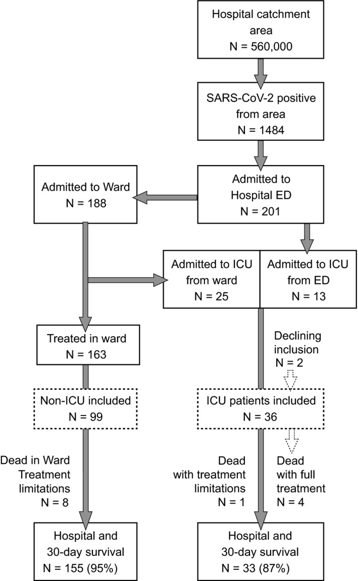 FIGURE 1