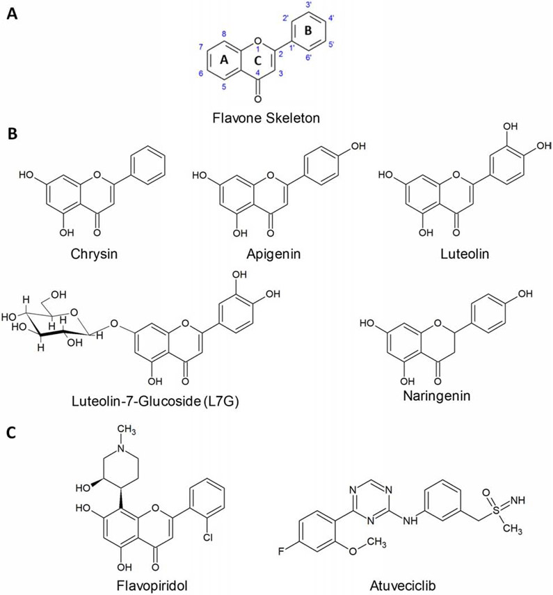 Figure 1.