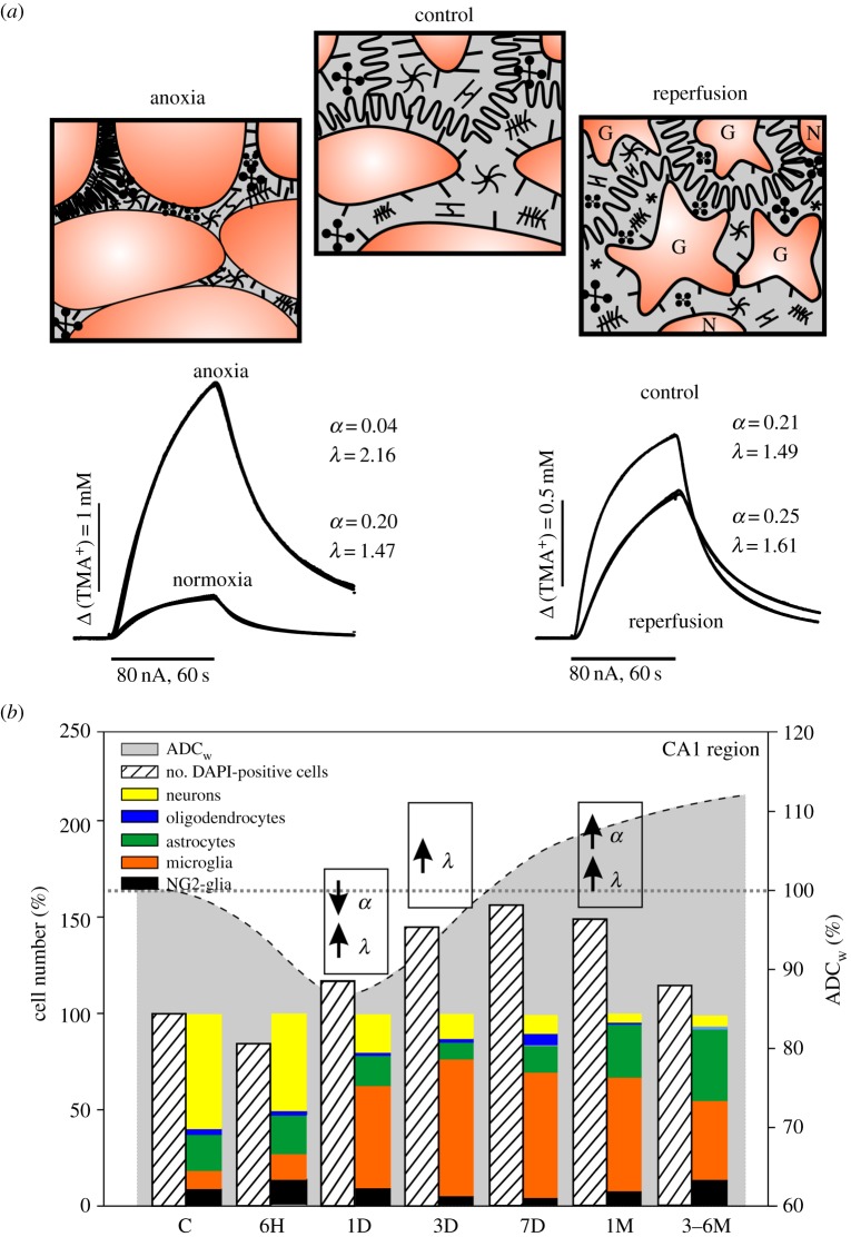 Figure 3.