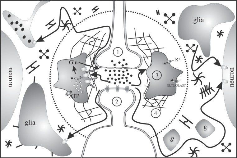 Figure 1.