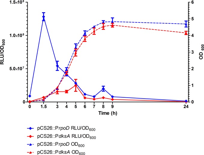 FIG 6