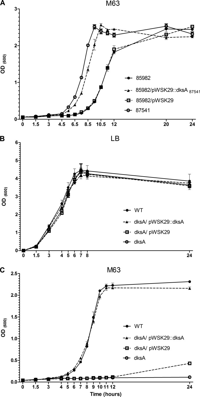 FIG 1