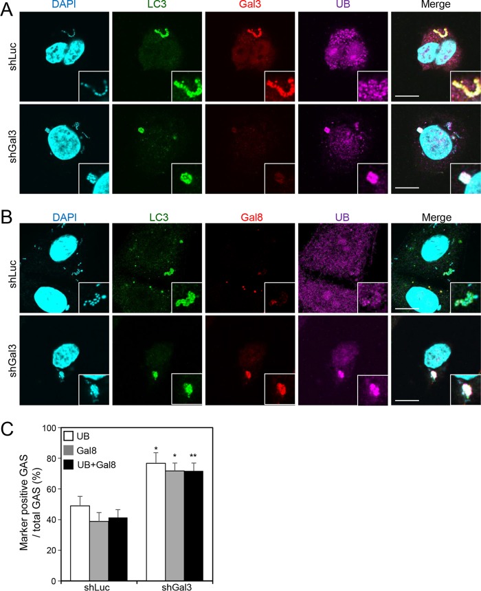 FIG 3 