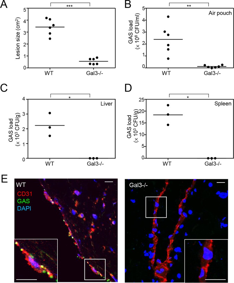 FIG 6 