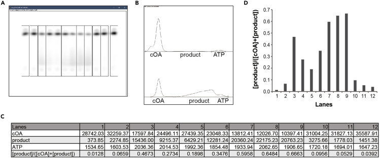 Figure 7