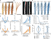 Extended Data Fig. 5