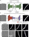 Extended Data Fig. 3