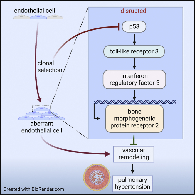 graphic file with name fx1.jpg