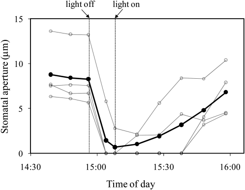 Figure 7.