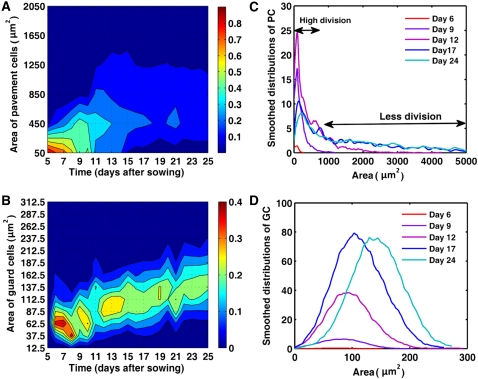 Figure 2.