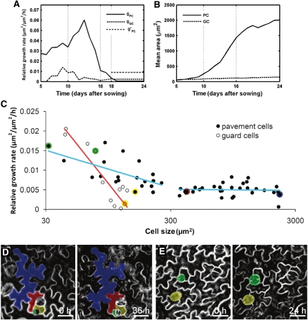 Figure 6.