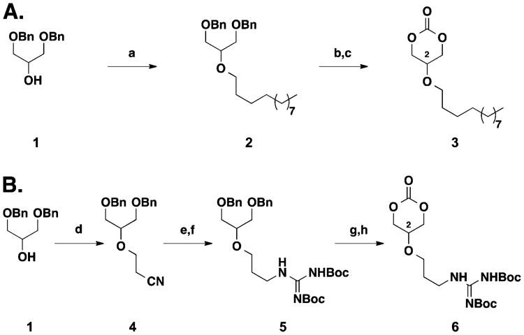 Scheme 1