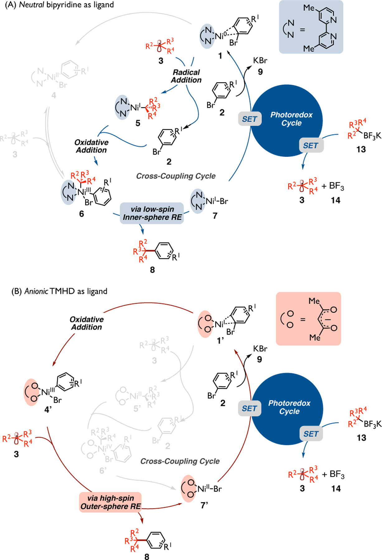 Scheme 3.