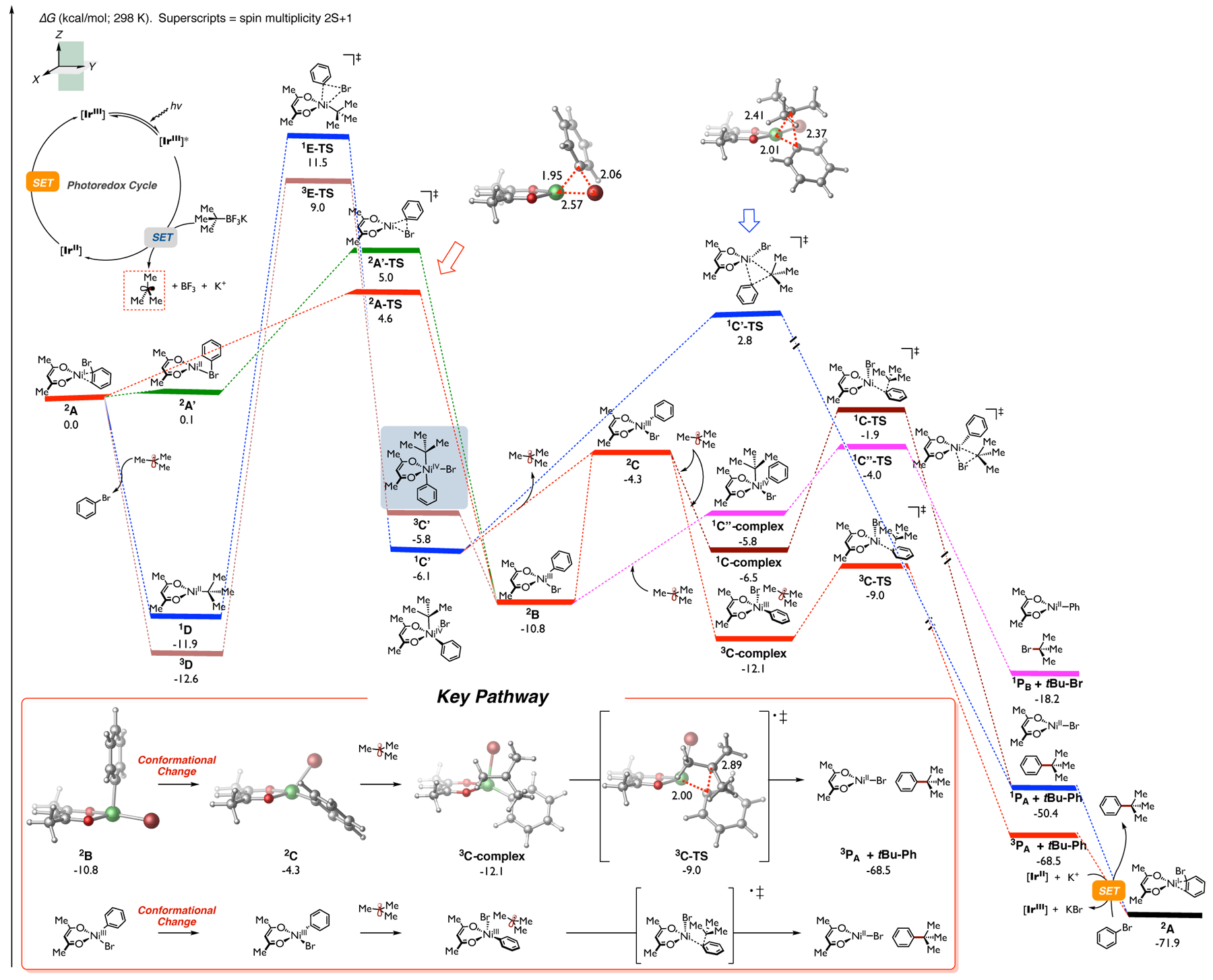 Figure 1.