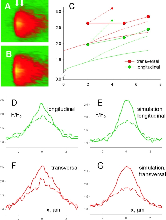 Figure 13. 