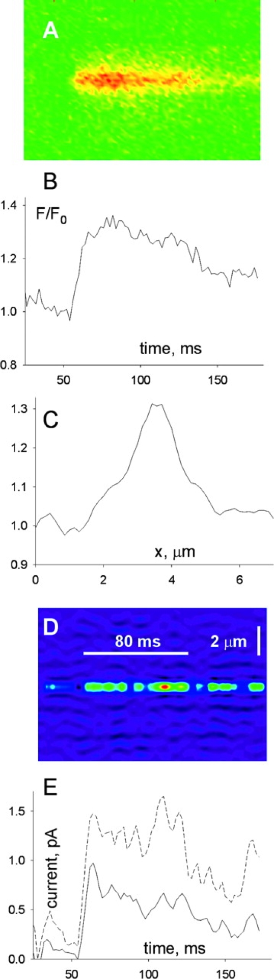 Figure 9. 