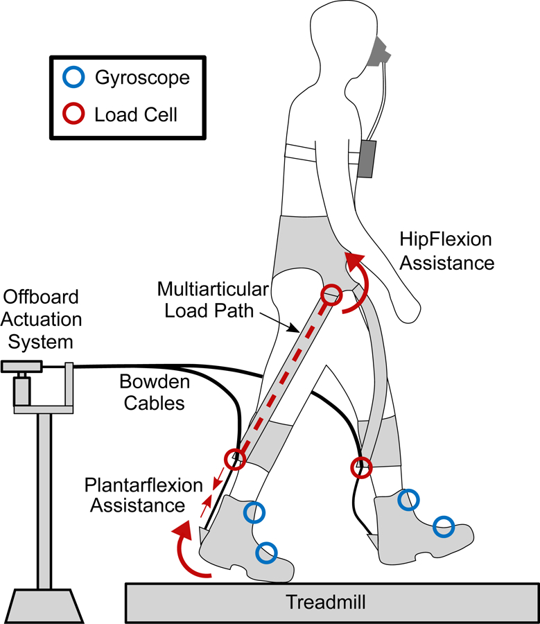 Figure 2: