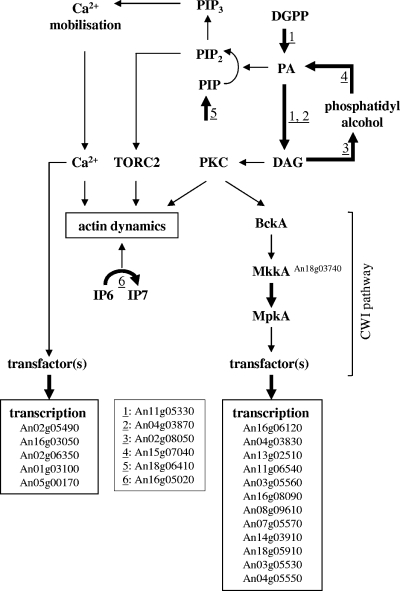 FIG. 7.