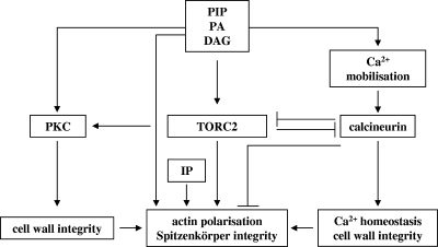 FIG. 8.